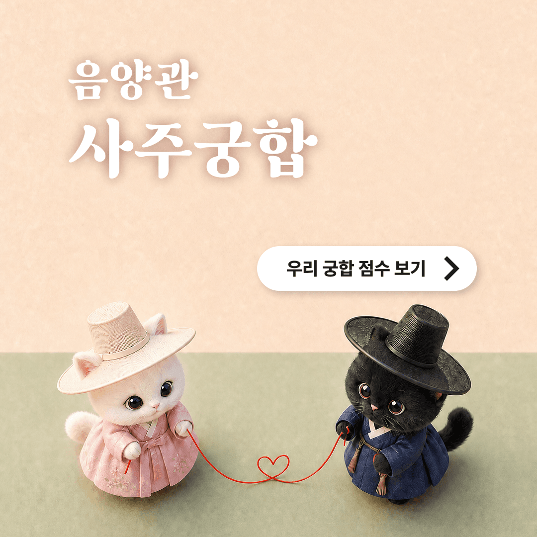뽀사주 사주궁합